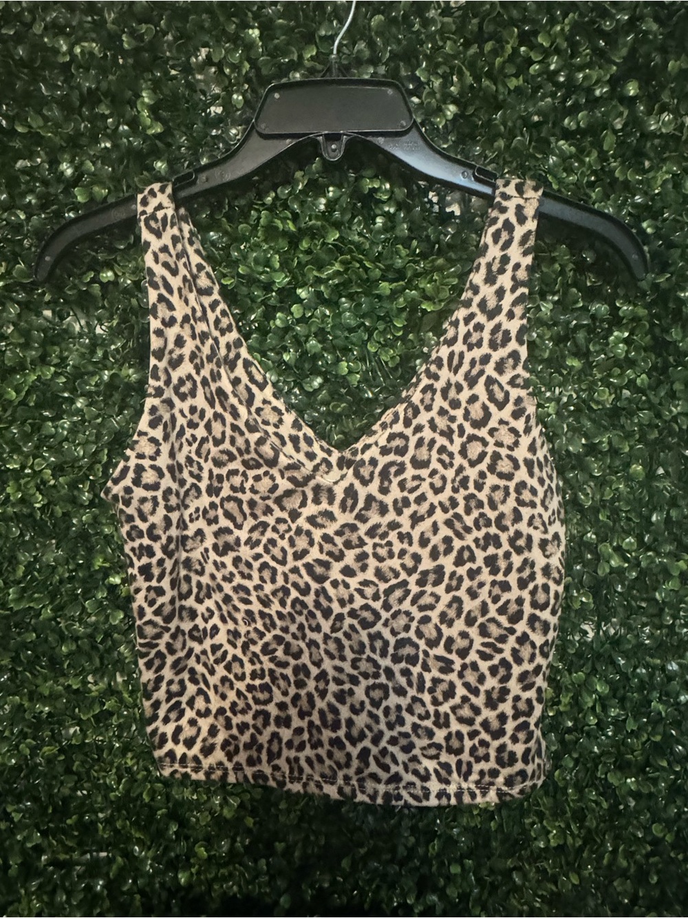gaze Leopard Print V-Neck Crop Top - Tan/Black